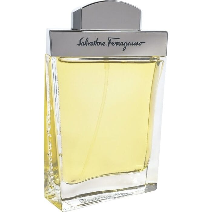 Perfume Salvatore Ferragamo pour homme hombre edt 100ml 2 Perfume Salvatore Ferragamo pour homme hombre edt 100ml - Imagen 2