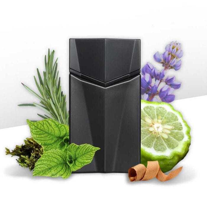 Perfume Animale Seduction de Animale hombre edt 100ml - Imagen 4