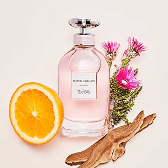 Perfume Coach Dreams de Coach mujer edp 90ml 4 Perfume Coach Dreams de Coach mujer edp 90ml - Imagen 4