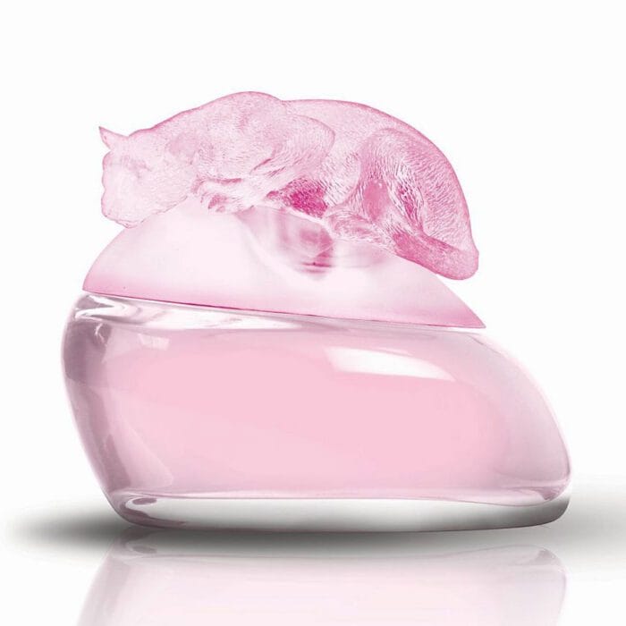 Perfume Delicious Cotton Candy de Gale Hayman mujer edt 100ml 2 Perfume Delicious Cotton Candy de Gale Hayman mujer edt 100ml - Imagen 2