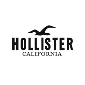 Hollister logo