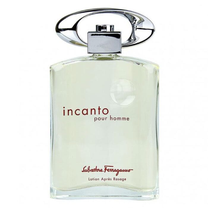 Perfume Incanto Pour Homme de S. Ferragamo hombre edt 100ml 2 Perfume Incanto Pour Homme de S. Ferragamo hombre edt 100ml - Imagen 2