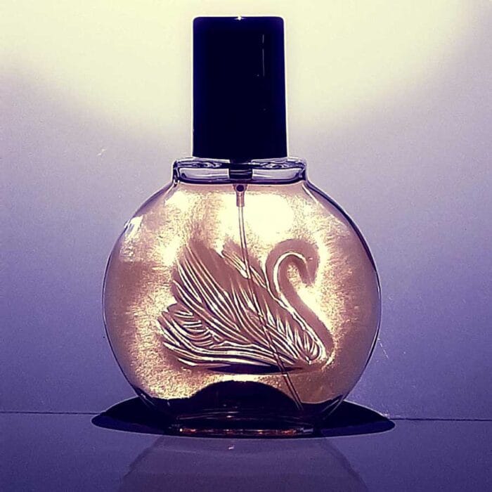 Perfume Minuit A New York de Gloria Vanderbilt mujer edp 100ml 4 Perfume Minuit A New York de Gloria Vanderbilt mujer edp 100ml - Imagen 4