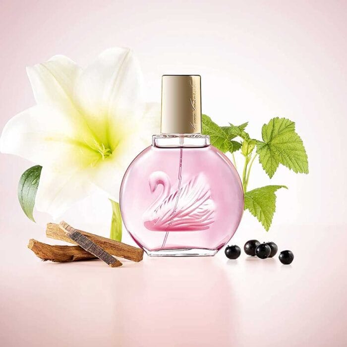 Perfume Minuit A New York de Gloria Vanderbilt mujer edp 100ml 5 Perfume Minuit A New York de Gloria Vanderbilt mujer edp 100ml - Imagen 5