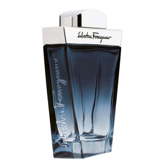 Perfume Subtil de Salvatore ferragamo hombre edt 100ml 2 Perfume Subtil de Salvatore ferragamo hombre edt 100ml - Imagen 2